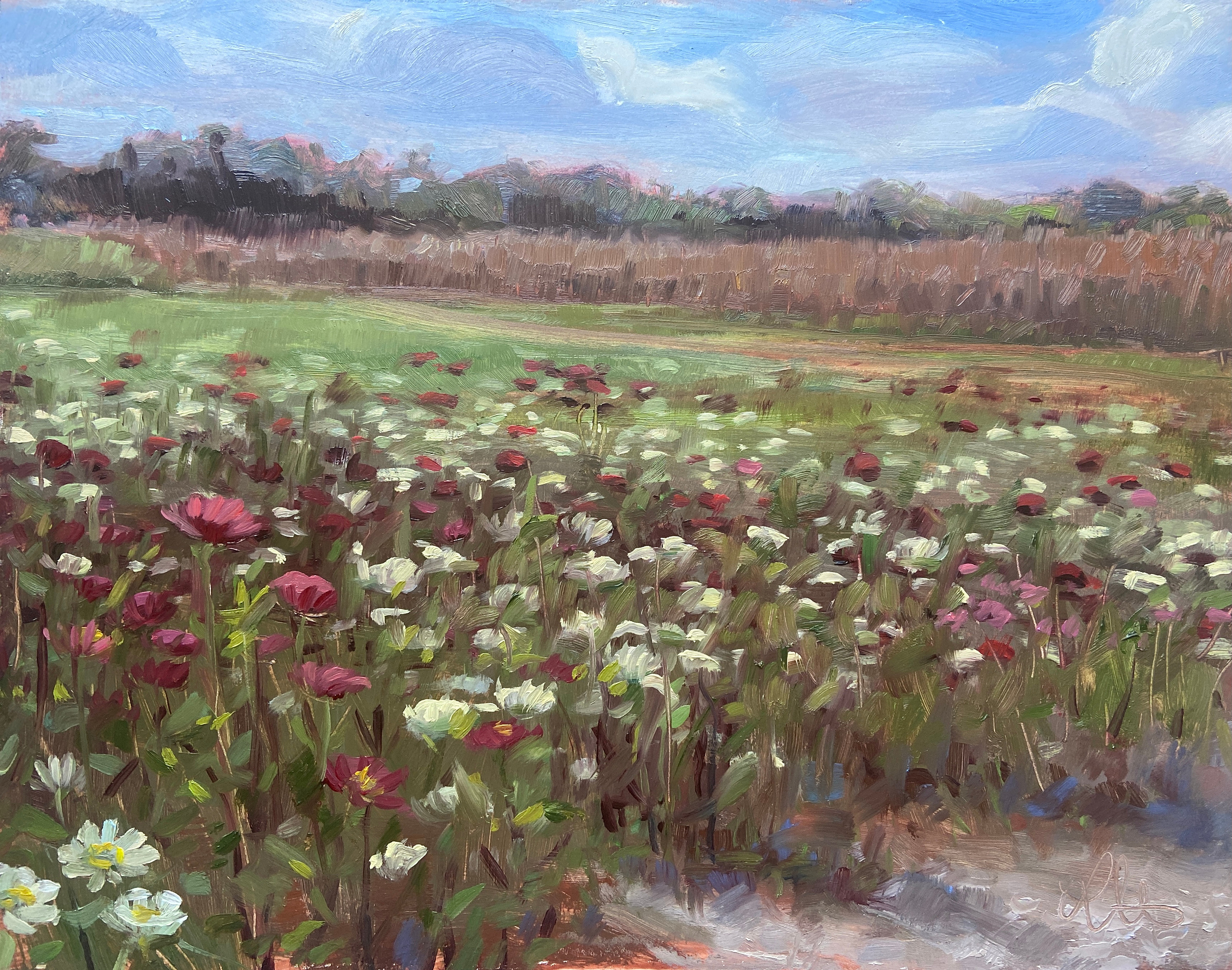 Curated Wildflowers, 2021
11 x 14 in. Oil on Panel
Painted En Plein Air
The Berry Farms - Redlands (near Miami), FL